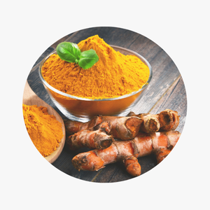 Curcuma-longa-Extract